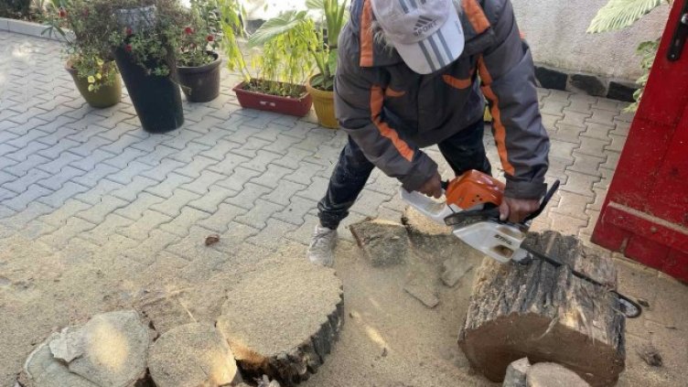 Снимка: архив, БГНЕС