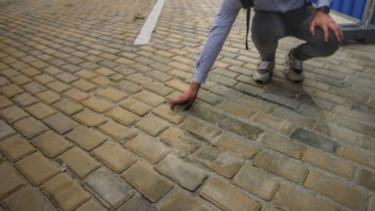 Снимка: Димитър Кьосемарлиев, Dnes.bg