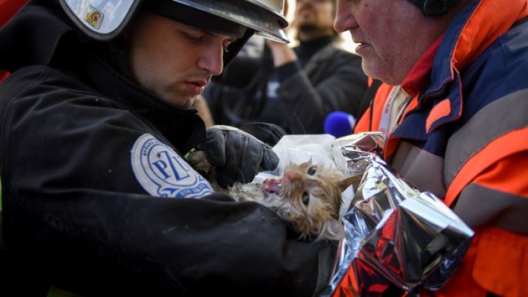 Снимка: БГНЕС