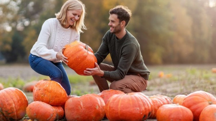 Снимка: iStock/PIKSEL