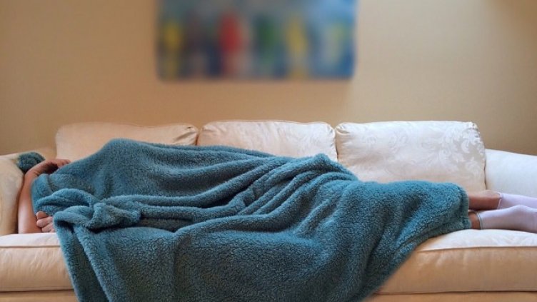 Снимка: Pixabay