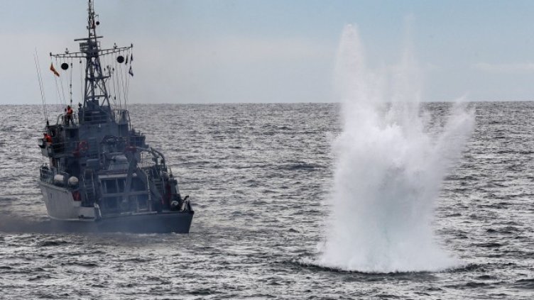 Снимка: архив, БГНЕС