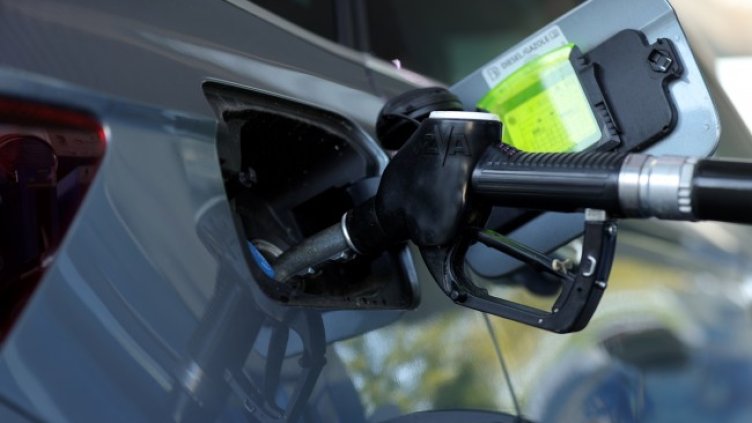 Снимка: архив, БГНЕС