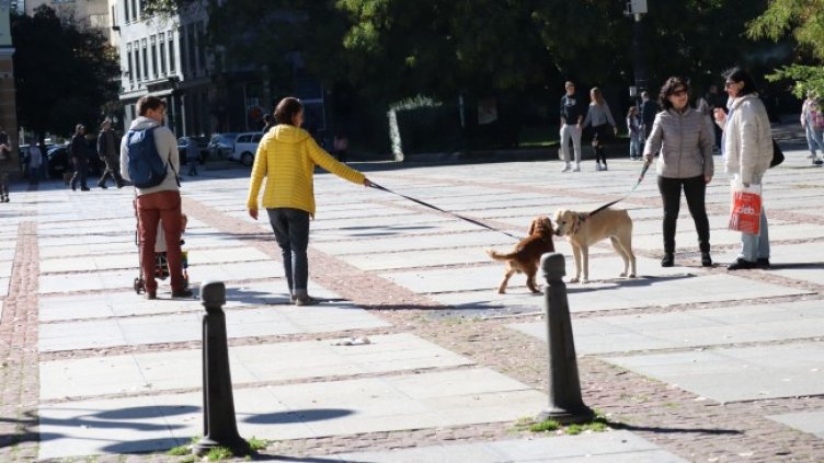 Снимка: БГНЕС