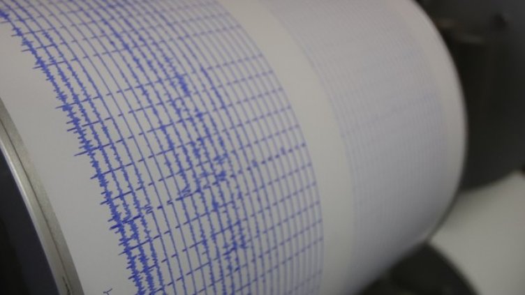 Снимка: архив, БГНЕС