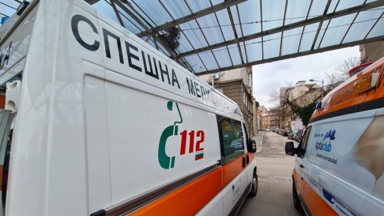 Снимка: БГНЕС