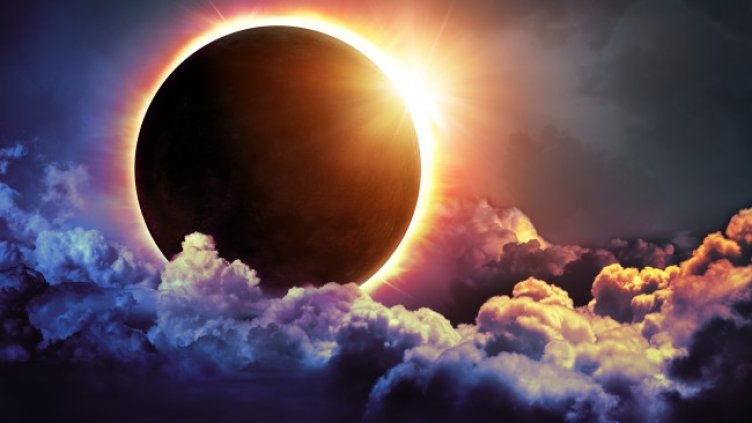 Снимка: iStock/RomoloTavani