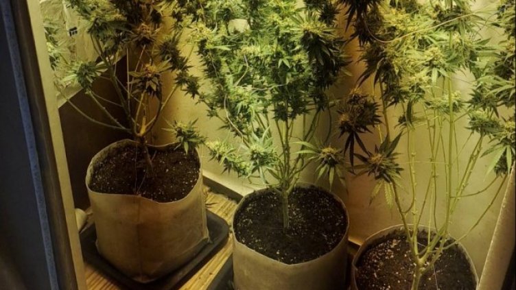 Снимка: МВР