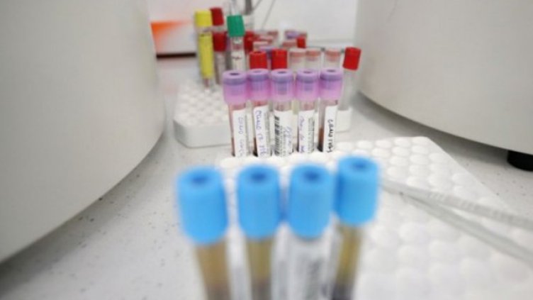 Снимка: Димитър Кьосемарлиев