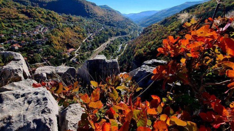 Снимка: БГНЕС