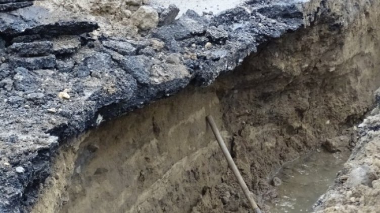 Снимка: архив, БГНЕС