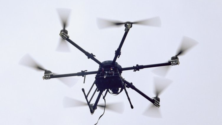 Снимка: архив, БГНЕС