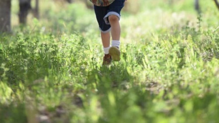 Снимка: Pexels