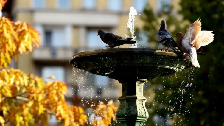 Снимка: БГНЕС