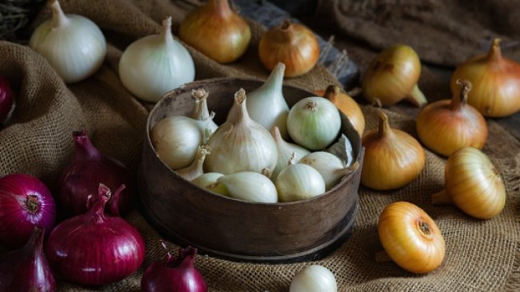 Снимка: Istock