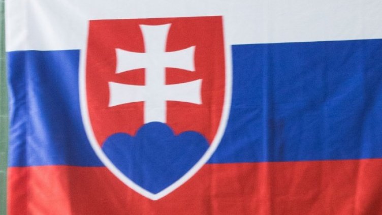 Снимка: архив, БГНЕС