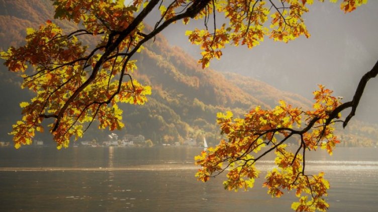 Снимка: Pixabay