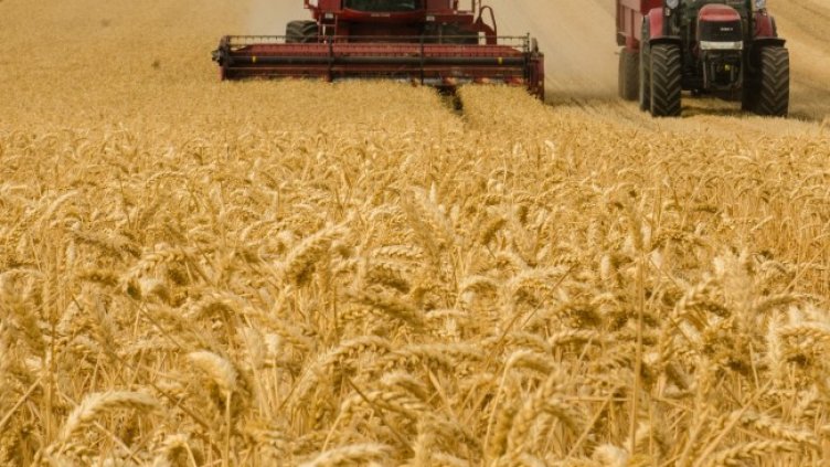 Снимка: Pixabay