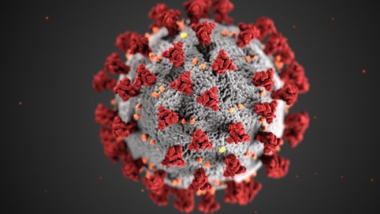 Снимка: архив, БГНЕС