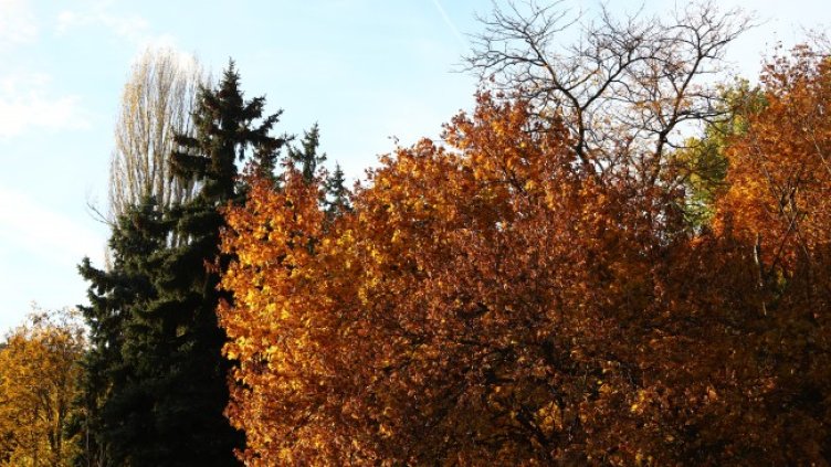 Снимка: архив, БГНЕС