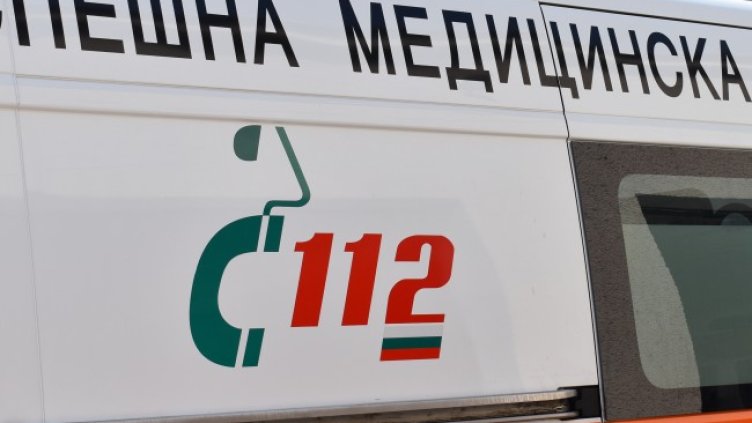 Снимка: архив, БГНЕС