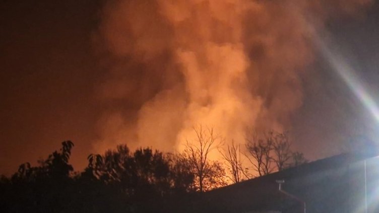 Снимка: БГНЕС