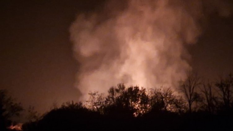 Снимка: БГНЕС