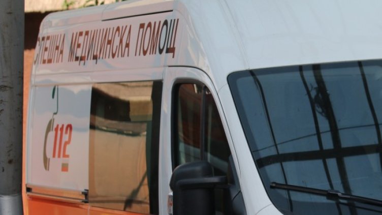 Снимка: архив, БГНЕС