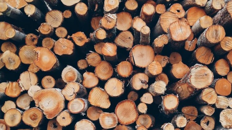 Снимка: Pixabay