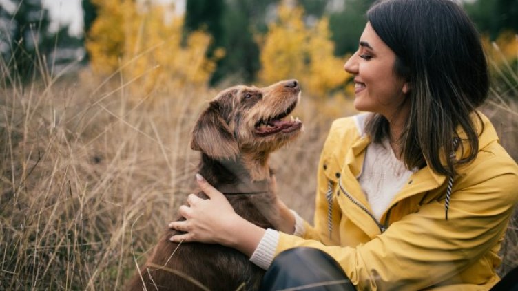 Снимка: iStock