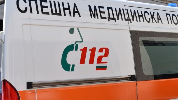 Снимка: архив, БГНЕС