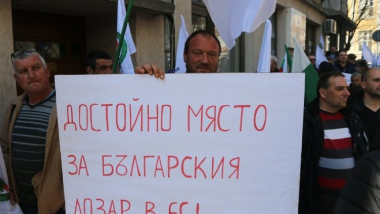 Снимка: БГНЕС