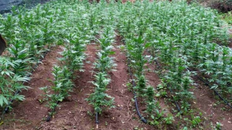 Снимка: МВР