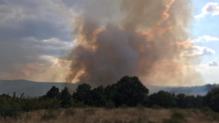 Снимка: БГНЕС