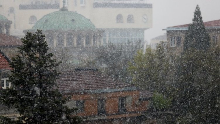 Снимка: БГНЕС