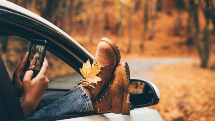 Снимка: Istock