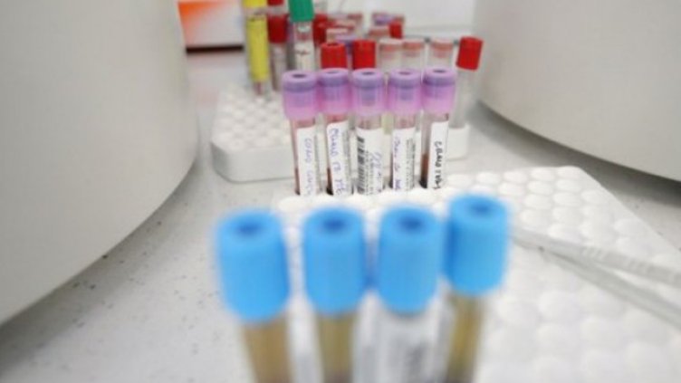 Снимка: Димитър Кьосемарлиев