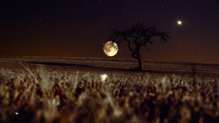 Снимка: Pixabay/Bru-nO