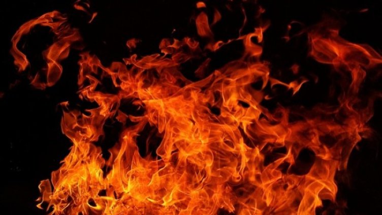 Снимка: Pixabay