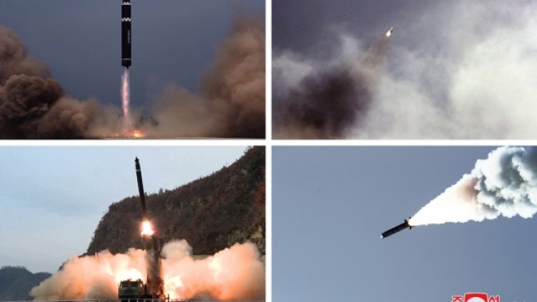 Снимка: архив, БГНЕС