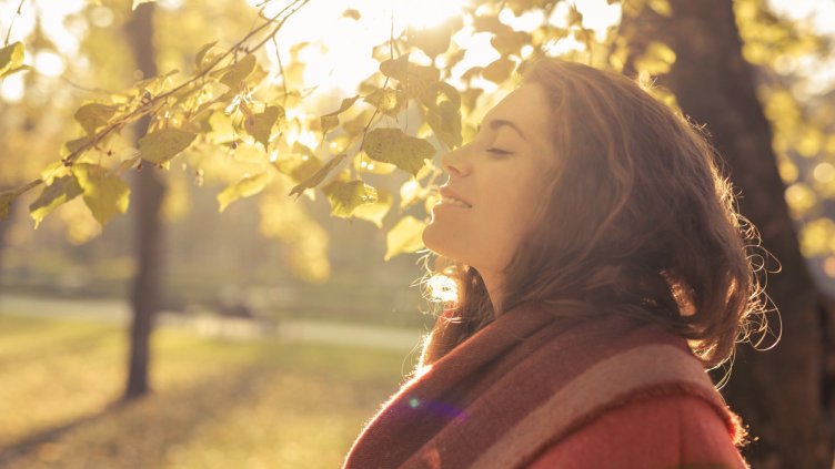 Снимка:  Istock