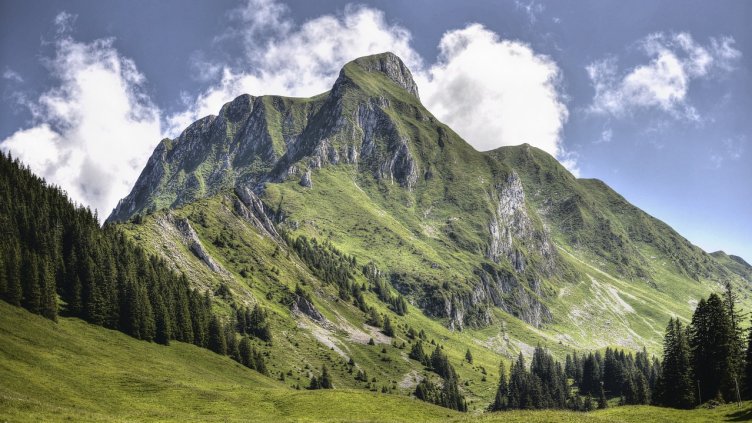 Снимка: Pixabay/ France58