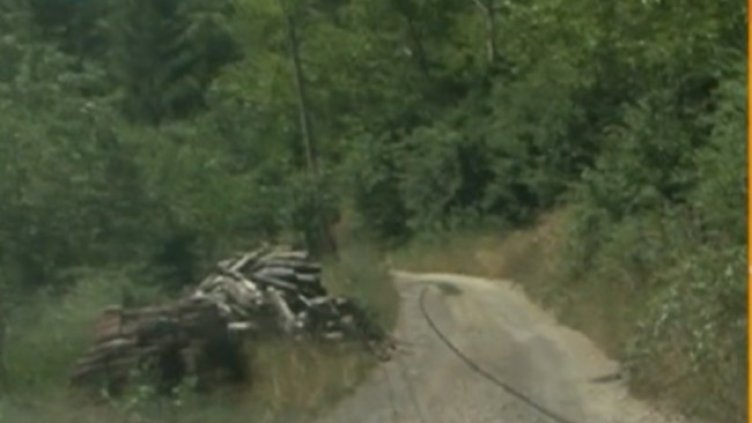 Снимка: кадър, БНТ