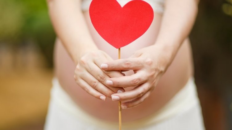 Снимка: Pixabay/3907349