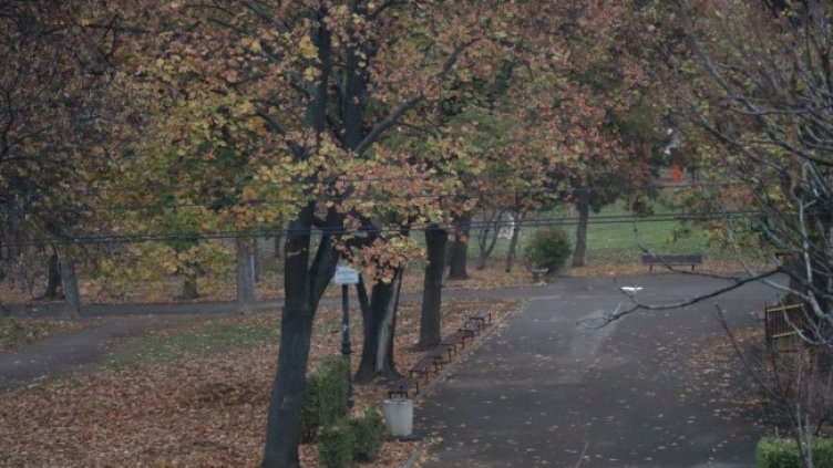 Снимка: архив, БГНЕС