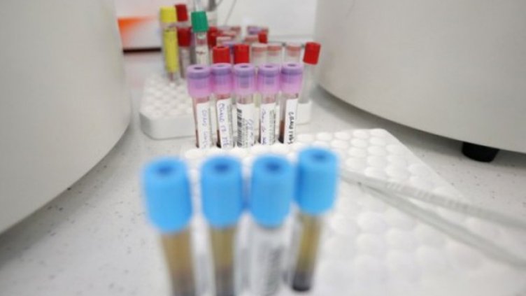 Снимка: Димитър Кьосемарлиев