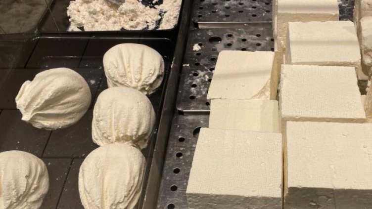 Снимка: архив, БГНЕС