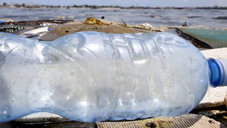 Снимка: архив, БГНЕС