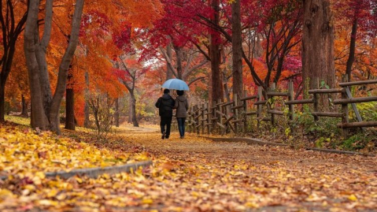 Снимка: Pixabay