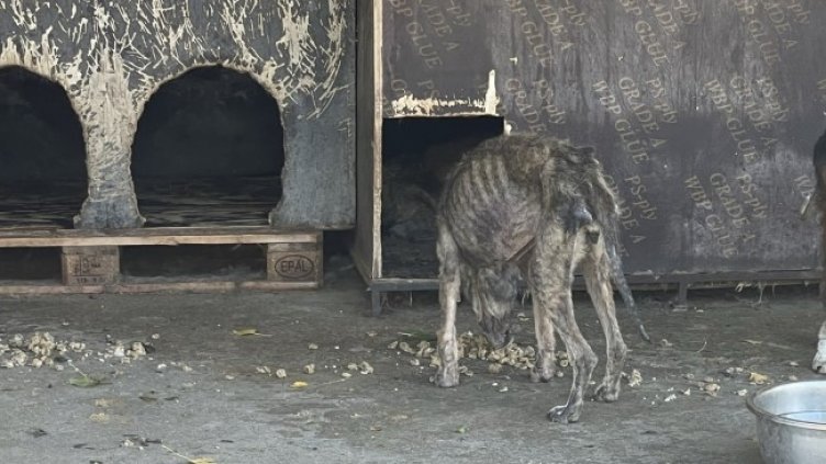 Снимка: Helpbook